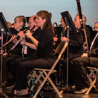 Image thumbnail for pcb2016-134r