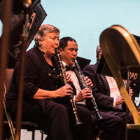 Image thumbnail for pcb2016-136r