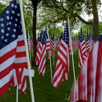 Image thumbnail for pcb-summer2011-001